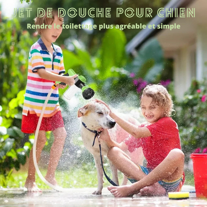 Pulvérisateur de douche pour chien