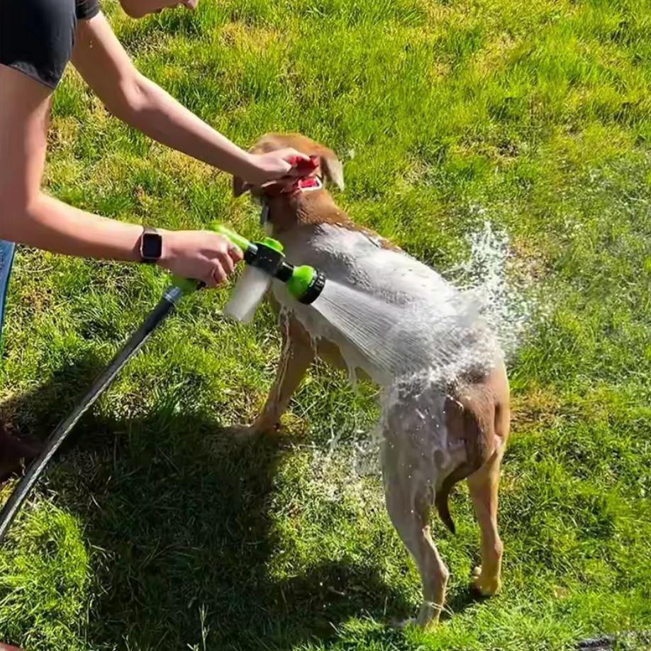 Pulvérisateur de douche pour chien